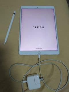 iPad pro 10.5 （256GB）apple pencilのサムネイル