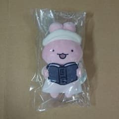 ホワイトタイガーとブラックタイガー マスコット うさぎ先生