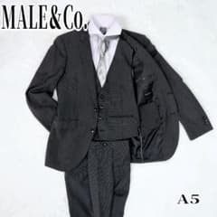 MALE＆Co. スーツ グレー ストライプ セットアップ A5 3ピース - メルカリ