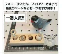〖□□□82〗バードトイ　フォージングトイ　インコ　鳥　おもちゃのサムネイル