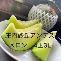 アンデスメロン 【山形庄内産】のサムネイル