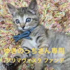 プリマヴィスタファンデーションのサムネイル