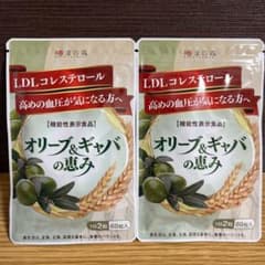 漢方セレクト 和漢の森 オリーブ ギャバ 60粒のサムネイル