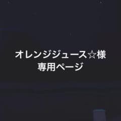 オレンジジュース☆様 専用ページ 他の方の購入不可のサムネイル