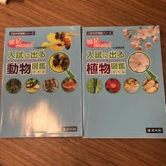 図鑑　10冊　まとめ売り DVD 中学受験 図鑑 10冊 まとめ売り DVD 中学受験 図鑑 10冊 まとめ売り DVD 中学