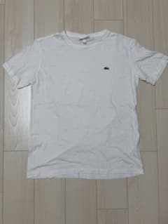 LACOSTE ラコステ ホワイト Tシャツ FR5 US Lのサムネイル