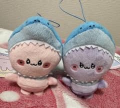 あさみみちゃん ぬいぐるみ サメみみマスコット
