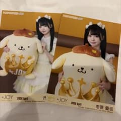 ニアジョイ 市原愛弓 生写真 コンプ ポムポムプリン コラボ - メルカリ