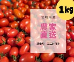 訳あり ミニトマト 農家直送のサムネイル