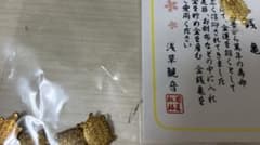 浅草観音 金運招福 金銭亀 お守り　5体