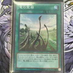 竜の霊廟のサムネイル