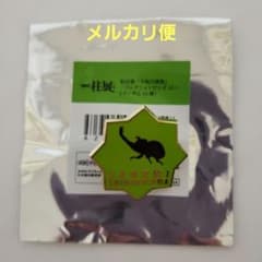 柱展コレクションピンズ「不死川実弥・カブトムシ」 - メルカリ