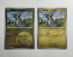 ポケモンカードゲーム 海外版 中国版 ジジーロン モンボミラー ノマカ セット