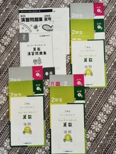 2年生 算数・国語 学習テキストセット 早稲田アカデミー スーパー