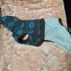 犬服のサムネイル