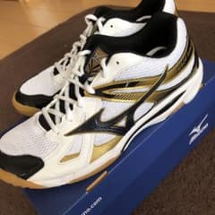 MIZUNO ミズノ　バレーボールシューズ　25.5cmのサムネイル