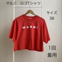 一回着用 マルニ MARNI スクリブル ロゴ レッド クロップド Tシャツ M 