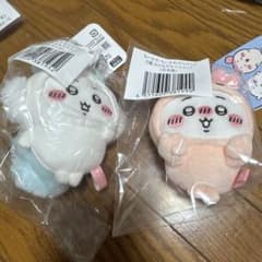 치이카 와다케 D상 모몬가 후루모토야