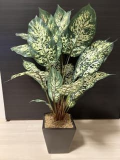 ニトリ　観葉植物　造花　インテリアのサムネイル