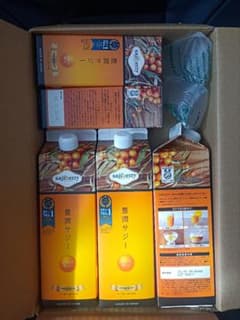 【新品】豊潤サジー セットのサムネイル