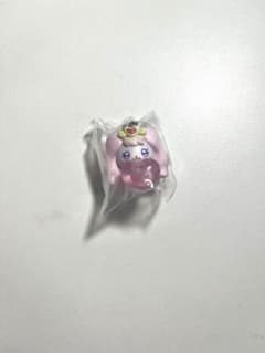 푸치큐아 메지루시 액세서리 파후