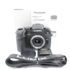 ショット数424！元箱付き！□ほぼ新品□ PANASONIC DC-G99M2 - メルカリ