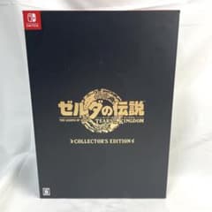 Nintendo Switch 젤다의 전설 티어즈 오브 더 킹덤