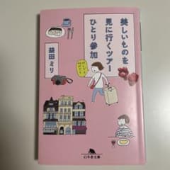 匿名配送　美しいものを見に行くツアーひとり参加のサムネイル