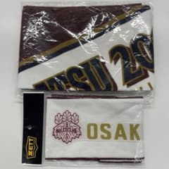 大阪桐蔭　記念タオル　２枚セット　甲子園　春夏連覇　藤浪晋太郎　森友哉　貴重 大阪桐蔭 記念タオル 2枚セット 甲子園 春夏連覇 藤浪晋太郎 森友哉