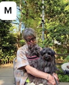 GDC pendleton チェックシャツ 茶 キムタク Mサイズのサムネイル