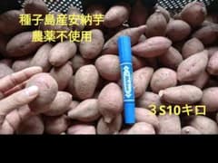 種子島産安納芋　農薬不使用　３S10キロのサムネイル