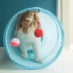 新品 折りたたみ可能水洗いキャットトンネル長いトンネル猫遊びペットおもちゃのサムネイル