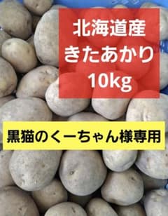 北海道産　きたあかりのサムネイル