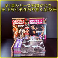 データファイル　日本プロレス　激闘60年史　２８冊　まとめ売り　週刊プロレス データファイル 日本プロレス 激闘60年史 28冊 まとめ売り 週刊