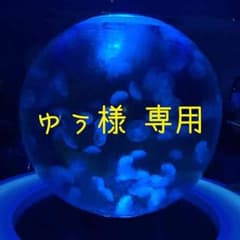 ゅぅ様 専用＊AZUL＊チュニックのサムネイル