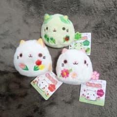 m72437221855_1.jpg?1747787021