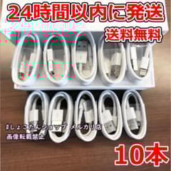 ipad pro ケーブル 純正 対応 正規品 同等 充電機 10本