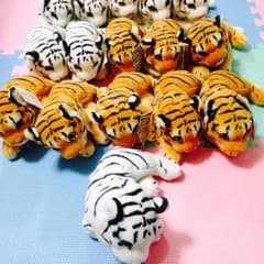 トラさん‼︎ぬいぐるみ♪のサムネイル