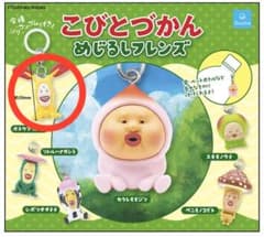 こびとづかん めじるしフレンズ ホトケアカバネのサムネイル