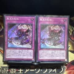 ドミナスパージ　2枚セットのサムネイル