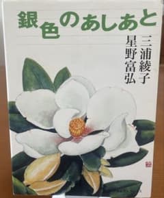 銀色のあしあとのサムネイル