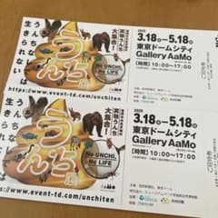 うんち展　チケット2枚のサムネイル