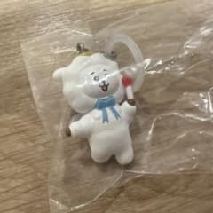 BT21 메지루시 매력 RJ