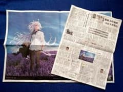 北海道新聞　FGO　マーリン　6/13全面広告＋6/14反響記事セットのサムネイル