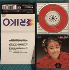 田村英里子　プロセスのサムネイル