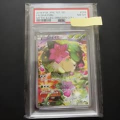 【PSA8】 シェイミ XY 幻・伝説ドリームキラコレクション PSA8】 シェイミ XY 幻・伝説ドリームキラコレクション - メルカリ