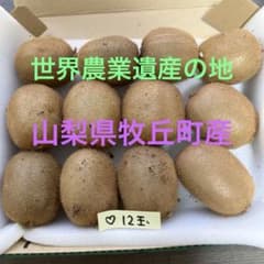 新鮮キウイ 12個入りのサムネイル