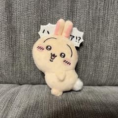 [신품 미사용] 토끼 투성이 추첨 E상 봉제인형 배지 허!?