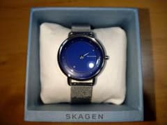 SKAGEN:SKW2738