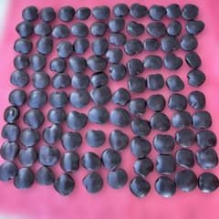 天然もだま100個のサムネイル